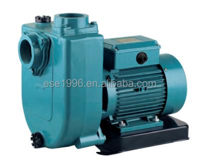 China Korea family homes factory household good quality high flow electric water pump for irrigation for sale