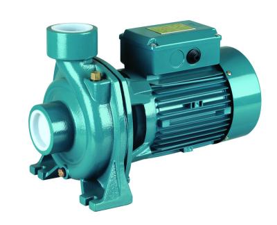 China Agriculture Plant Household Irrigation And High Flow 1 Hp Centrifugal Electric Water Pump For Irrigation for sale