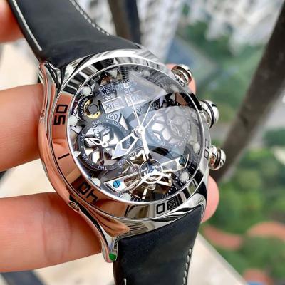 China Tiger Mens Sport Watches Skeleton Reef Date And Hands Year Month Date Daytime Watch RGA703 Automatic Luminous Black Steel Dial Watch for sale