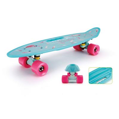 China High Quality China Youth Cruiser Skateboard Fish Plastic Skateboard For Kids for sale