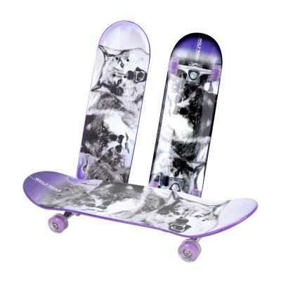 China Youth Complete 28 Inch Skateboards Highly Flexible Plastic Cruiser Board With High Backbound PU Wheel for sale