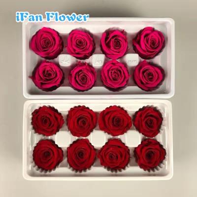 China Green Environmental Protection Grade A Preserved Roses Wholesale Durable Flower Natural Contact Flowers From Ecuador for sale