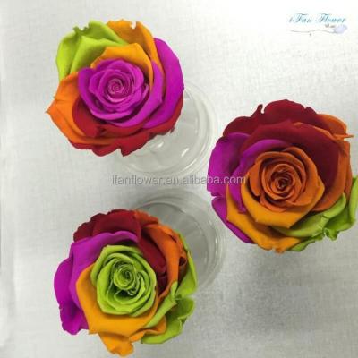 China Customized preserved environmental protection green birthday wedding door flavor mounted valentine handcraft decoration flowers items for sale