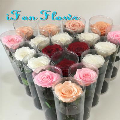 China Romantic Japan Rose Eternal Real Rose DIY Preserved Rose Stems Flower for sale