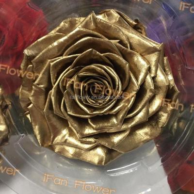 China Celebration Customized Wholesale Gold Color Eternal Roses Flower DIY Last Stub Available Real Flower Forever for sale