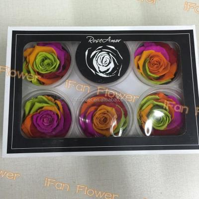 China Best preserved celebration award flower rose head special gift for sale