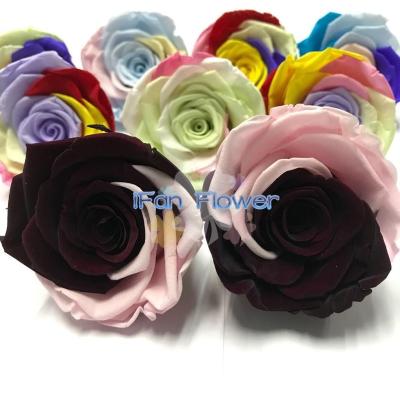 China Customized environmental protection romantic heartshape green touch wholesale pricesA+ real flowers for sale