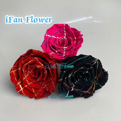 China Green Environmental Protection Grade A Preserved Roses With Durable Color Flower Customized Inartificial Ecuadorian Roses for sale