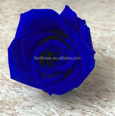 China Environmental protection natural rose flowers beautiful green wholesale multicolor ecuadorian wedding flowers for sale