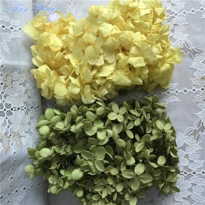 China Environmental protection green wedding favors wedding preserved hydragea eternal flower gift box for sale