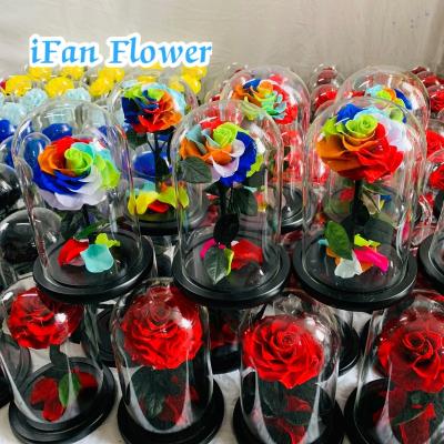 China Japan Green Plant Valentine's Day Gift High Quality Environmental Protection Preserved Rose Flower Real In Glass Dome for sale