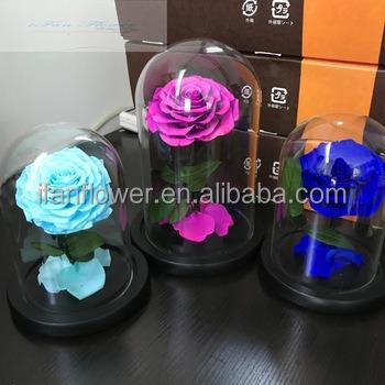 China Environmental protection green romantic birthday gifts for girl handmade crafrs preserved flower in glass dome for sale