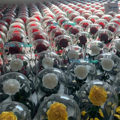 China Green Environmental Protection Eternal Luxury Preserved Roses In Glass Dome Wholesales Gold Silver Colors With Long Stem Natural Unfading Real Flowers for sale