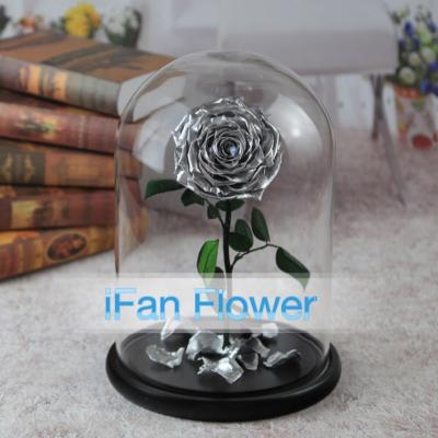 China Green environmental protection export eternal rose preserved flower in beautiful long glass stem mounted in glass cover for sale