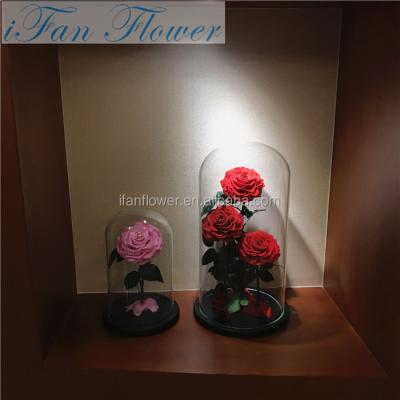 China 39cm stem environmental protection green fresh black rose flower stabilized real flowers preserved roses in glass dome for sale