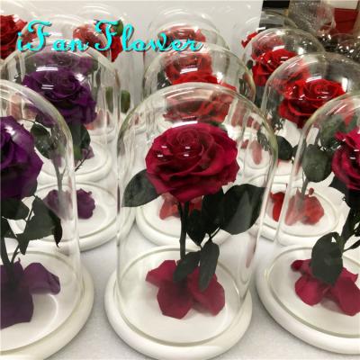 China Environmental Protection Factory Price Green Natural Preserved Roses Stabilized Flowers Preserved Glass Cover Rose for sale