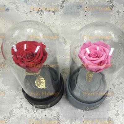 China Environmental Protection Green Preserved Flower With Long Life Led Light Fresh Preserved Rose Glass Flower for sale