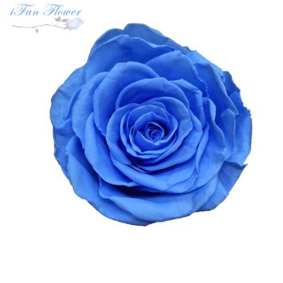 China 2018 green environmental protection made in china 100% preseverd roses acrylic box preserved flowers for sale