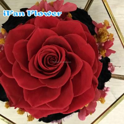 China China environmental protection big bud green red artificial rose flower from ecutor wholesale on alibaba for sale