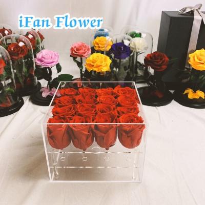 China Eco-friendly made in china wholesale top quality preserved rose rose in acrylic gift box for wedding for sale