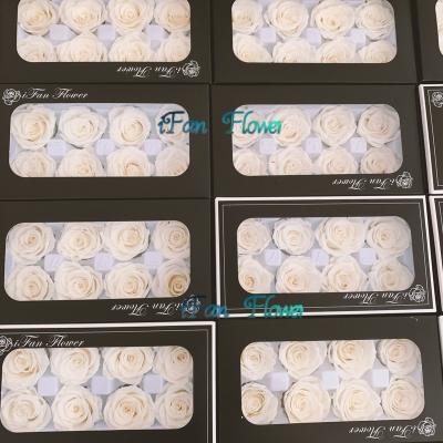 China Green Environmental Protection Cost Price Trade Assurance Preserved Real Blue Dried Preserved Roses for sale