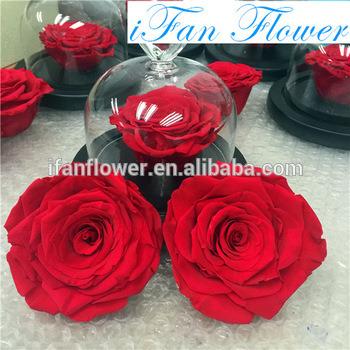 China Green Environmental Protection Romantic Birthday Gifts For Girl Merchant Best Deals Preserving Roses Flowers for sale