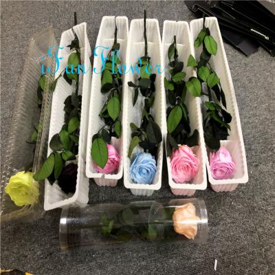 China Green Christmas Ornament Home Decor Cheap Environmental Protection Christmas Decoration Preserved Rose Stem for sale