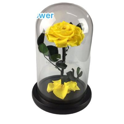 China Green Hot Christmas Decoration New Product Environmental Protection Best-Selling Gifts Rose for sale