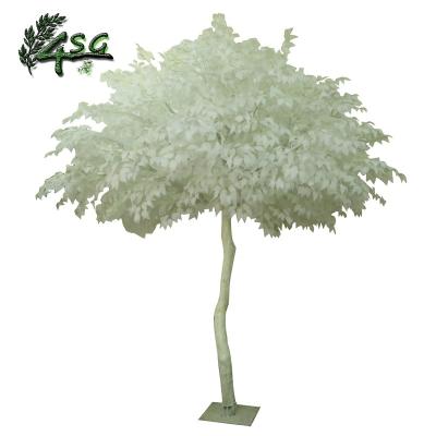 China 10FT FICUS TREE CHRISTMAS INDOOR WHITE DECOR Easy Hold ARTIFICIAL WHITE LEAF TREE for sale