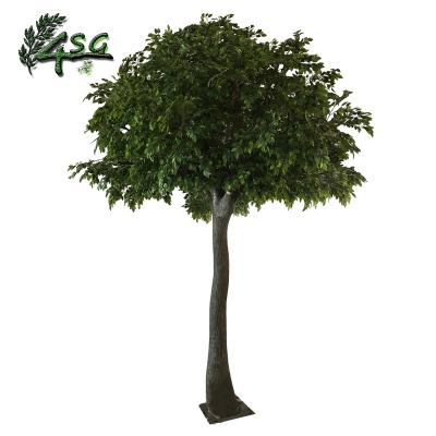 China HORN GARDEN EASY MAINTAIN FICUS TREE PLANTS OUTDOOR LARGE ARTIFICIAL TREES for sale