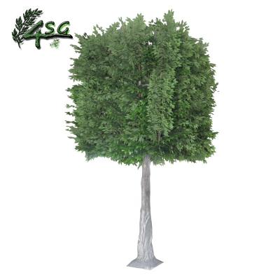 China EASY HOLD SCHOOL DECORATIVE ARTIFICIAL FICUS TREE 350CM PLASTIC BANIAN LYRATE for sale