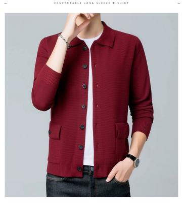 China Anti-wrinkle capital cardigan led by fear knit solid sweater basic autumn knitted men for sale