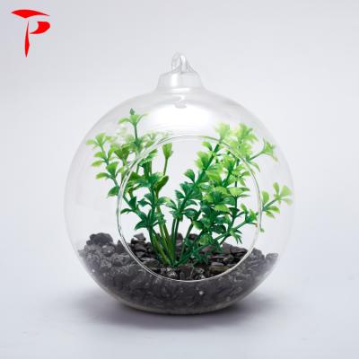 China Factory Direct Selling Egg Shape Mini Greenhouse Glass Hanging Clear Glass Globe for sale