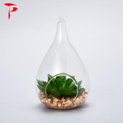 China Factory Direct Selling Pear Shape Mini Greenhouse Containers Handblown Glass Treeariium for sale