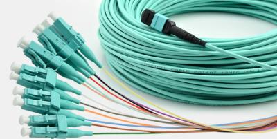 Cina 12 cavo di toppa misto delle fibre MPO, cavi a fibra ottica della toppa di MTP MPO in vendita