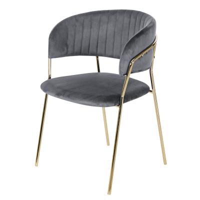 China Free Sample Wholesale design room furniture nordic velvet modern luxury dining chairs with metal legs gold legs for sale