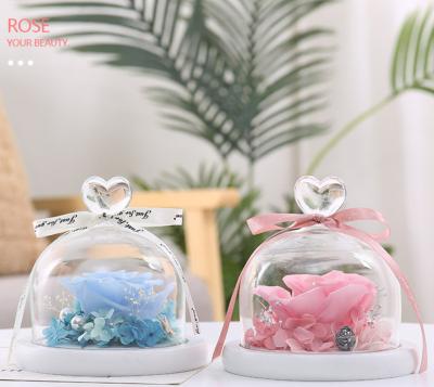 China Mini Greenhouse Wedding Decor Valentine Gifts Fever Rose In Glass Dome, Lead Glass Dome With Wooden Base for sale