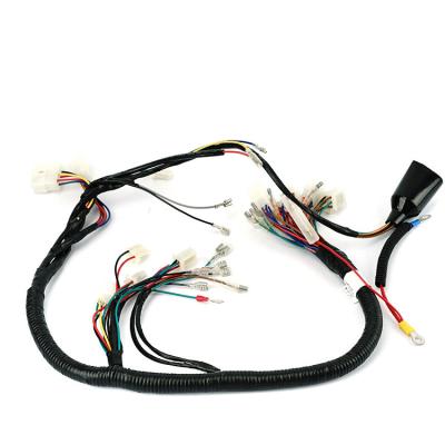 Cina Automobile Manufacture Automotive Engine Wire Harness Complete Universal Custom Auto Wire Harness For Automobile in vendita