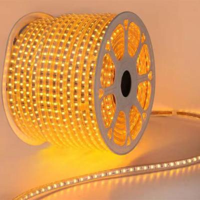 China WOOJONG Best Selling Garden Light Garden RGB Led Plastic Smart Strip Light for sale