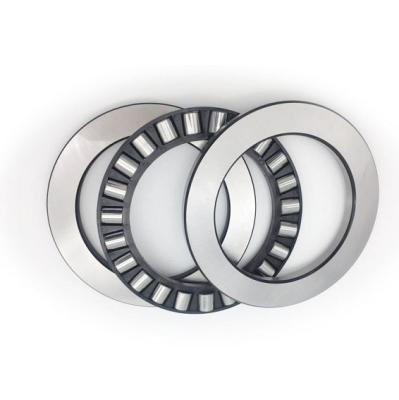 China Automobile Factory Outlet 81211 81211M TN Stainless Steel Thrust Roller Bearing for sale