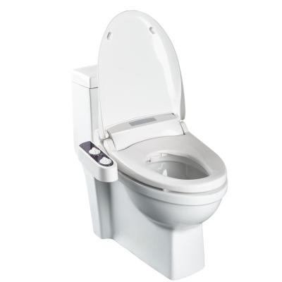 China Non-Electric Bidet Attachment Non-Electric Bidet Attachment Bidet Double-Flow Cold Water Spout Double Cold Water Spout Toilet Sanitary Equipment for sale