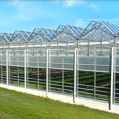 China Multi-span Stable Agricultural Greenhouses Structure Greenhouse Tropical Solar Hydroponic Flower Vegetable Growing Stable Glass for sale