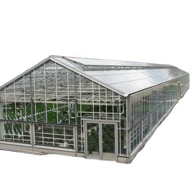 China Stable Structure Frame Frame Greenhouse Long Life Galvanized Steel Multi-span Agricultural Greenhouses Flower Vegetable Growing Stable Structure Glass for sale