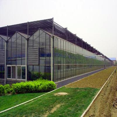 China Stable Structure Commercial Agricultural Glass Greenhouse For Flower / Vegetable for sale