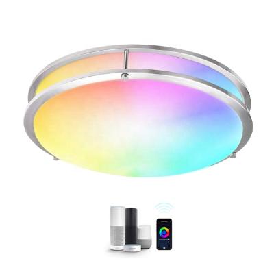 China Modern Cost-Effective Aluminum Frame RGBCW Multi-Color Music Adjustment Specker Smart Ceiling Lamp for sale