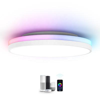 China Round 12inch Modern Super Smart Wireless Remote Control Indoor Bedroom Quality Led Light Ceiling for sale