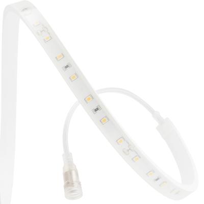 China 1.OFFice 2.Hotel 3.Residential 4.Commercial use good quality Ip65 24V DC power supply decorating light led strip lights indoor led strip lights waterproof for sale