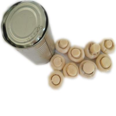 China Canned whole canned mushroom in tins slice pieces and stem brine for sale