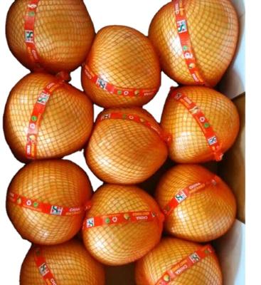 China 2022 Fresh Seasonal Supply Fresh Honey Grapefruit for sale