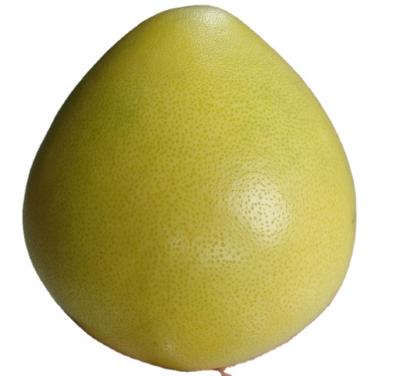 China 2022 Fresh Chinese Golden Honey Pomelo for sale